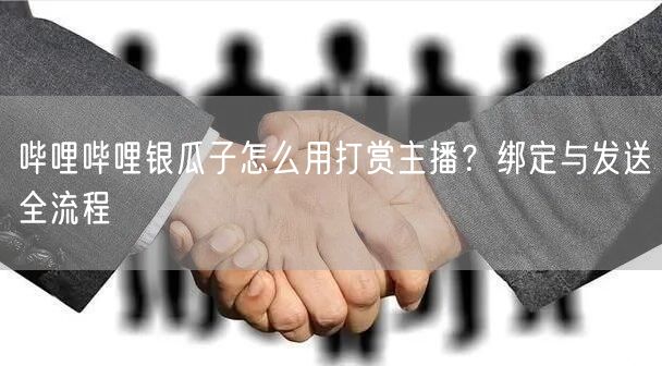 哔哩哔哩银瓜子怎么用打赏主播？绑定与发送全流程